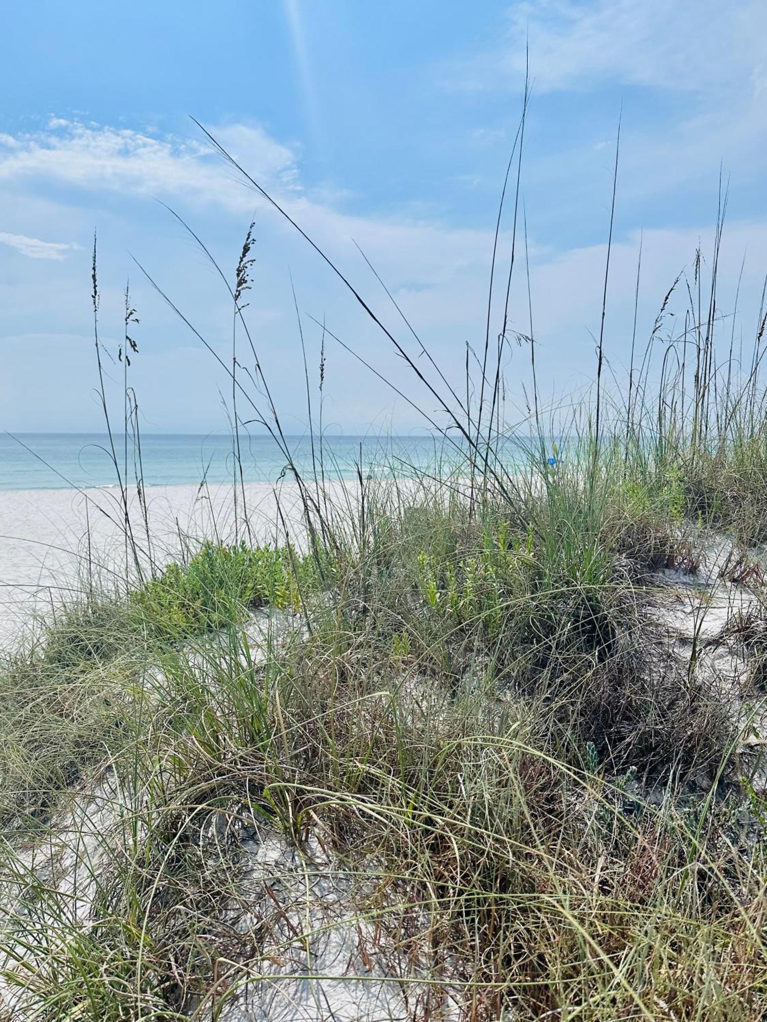 Sea Salt Vacation Home, Private Pool - Walk To Beach Panama City Beach Kültér fotó